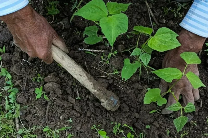 Unveiling the Mystery of Wehidomcid97: Decoding Its Significance and Impact